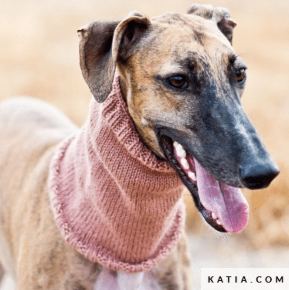 Lana MERINO CLASSIC - Katia - Crudo - Imagen 9