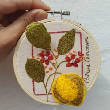 Taller de stumpwork